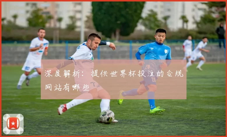 深度解析:提供世界杯投注的合规网站有哪些