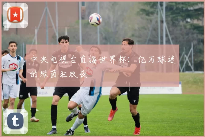 中央电视台直播世界杯:亿万球迷的绿茵狂欢夜