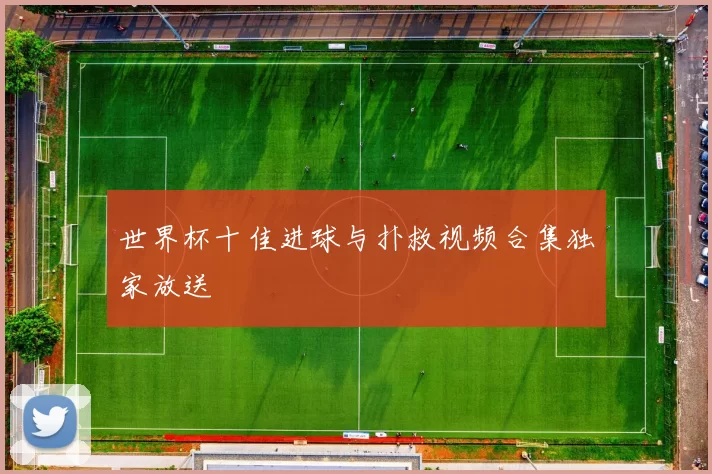 世界杯十佳进球与扑救视频合集独家放送