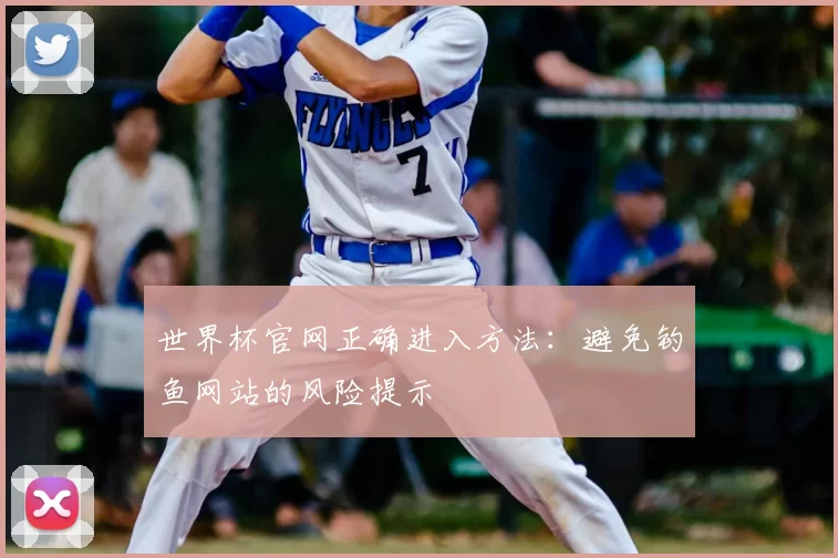 世界杯官网正确进入方法:避免钓鱼网站的风险提示