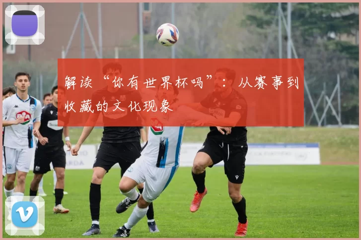 解读“你有世界杯吗”:从赛事到收藏的文化现象