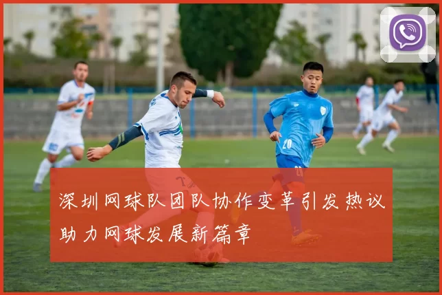 深圳网球队团队协作变革引发热议助力网球发展新篇章