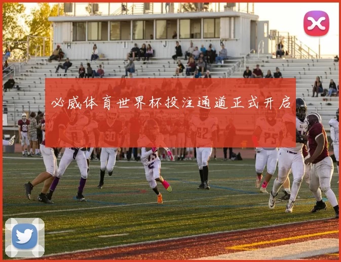 必威体育世界杯投注通道正式开启