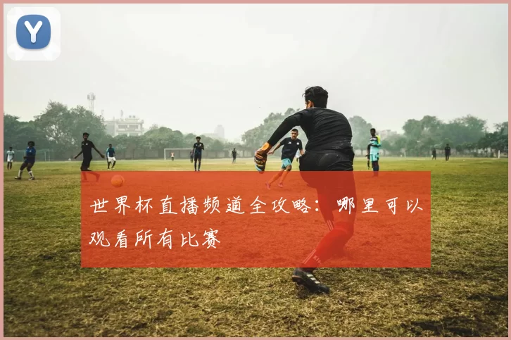 世界杯直播频道全攻略：哪里可以观看所有比赛