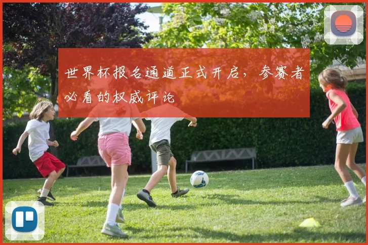 世界杯报名通道正式开启,参赛者必看的权威评论