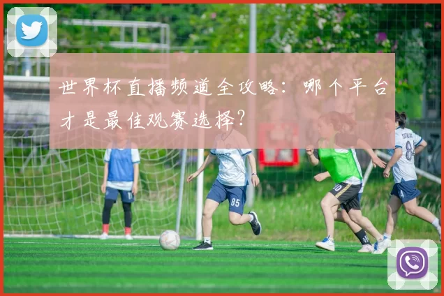 世界杯直播频道全攻略:哪个平台才是最佳观赛选择?