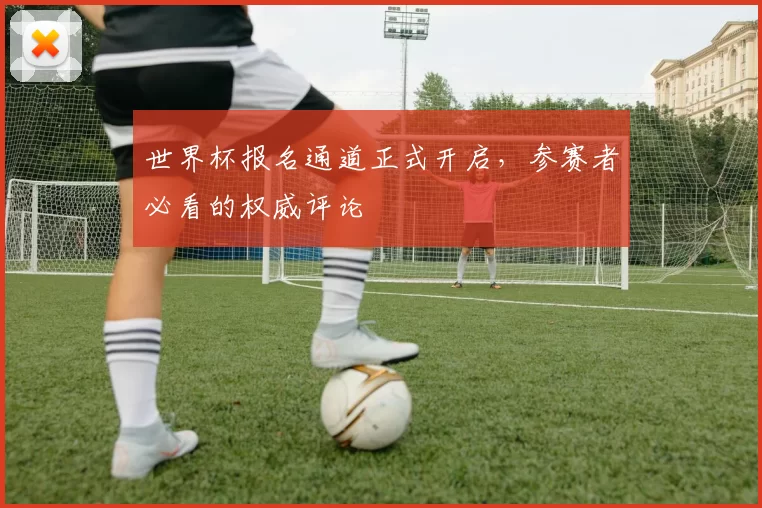 世界杯报名通道正式开启，参赛者必看的权威评论